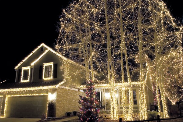 Lights In Trees Custom Builders, How To Put Light On Outdoor Trees