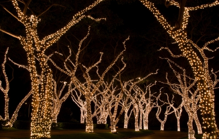 http://outdoorlightingnashville.com/tag/nashville-exterior-holiday-tree-lighting/