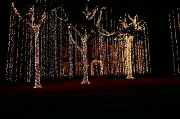 http://yourcoolcityblog.com/lights-christmas-action-part-2/